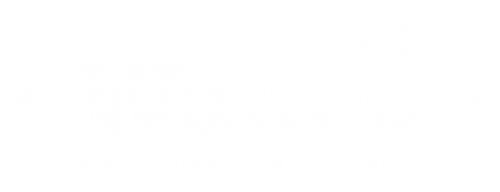 WakeUp 2.0